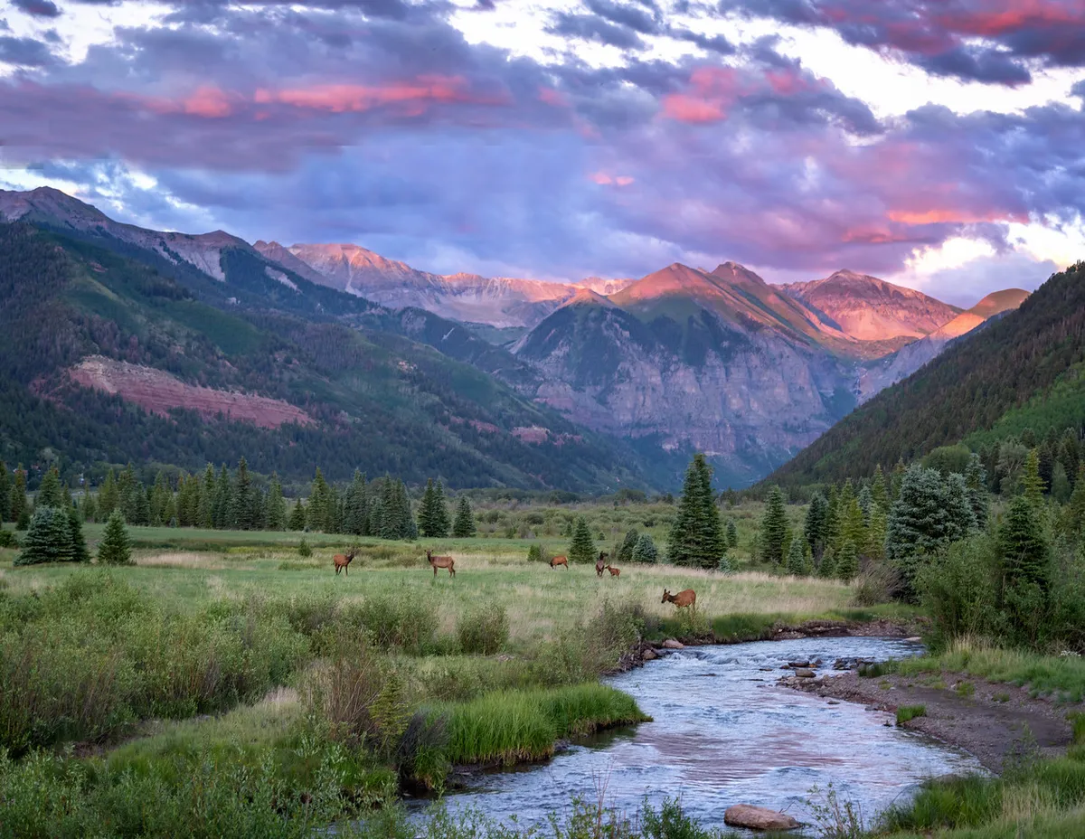 A lush green meadow stretches out beneath towering, snow-capped mountains. Grazing deer and a gently flowing stream enhance the sense of tranquility and connection to nature. The scene is serene, representing opportunities for hiking, wildlife watching, and enjoying the outdoors in warmer seasons.